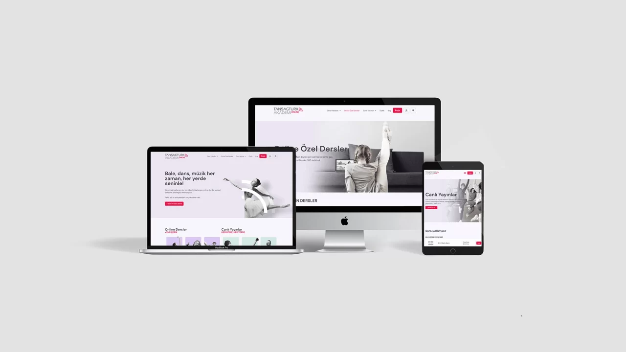 Tan Sagturk Akademi Online Website Design