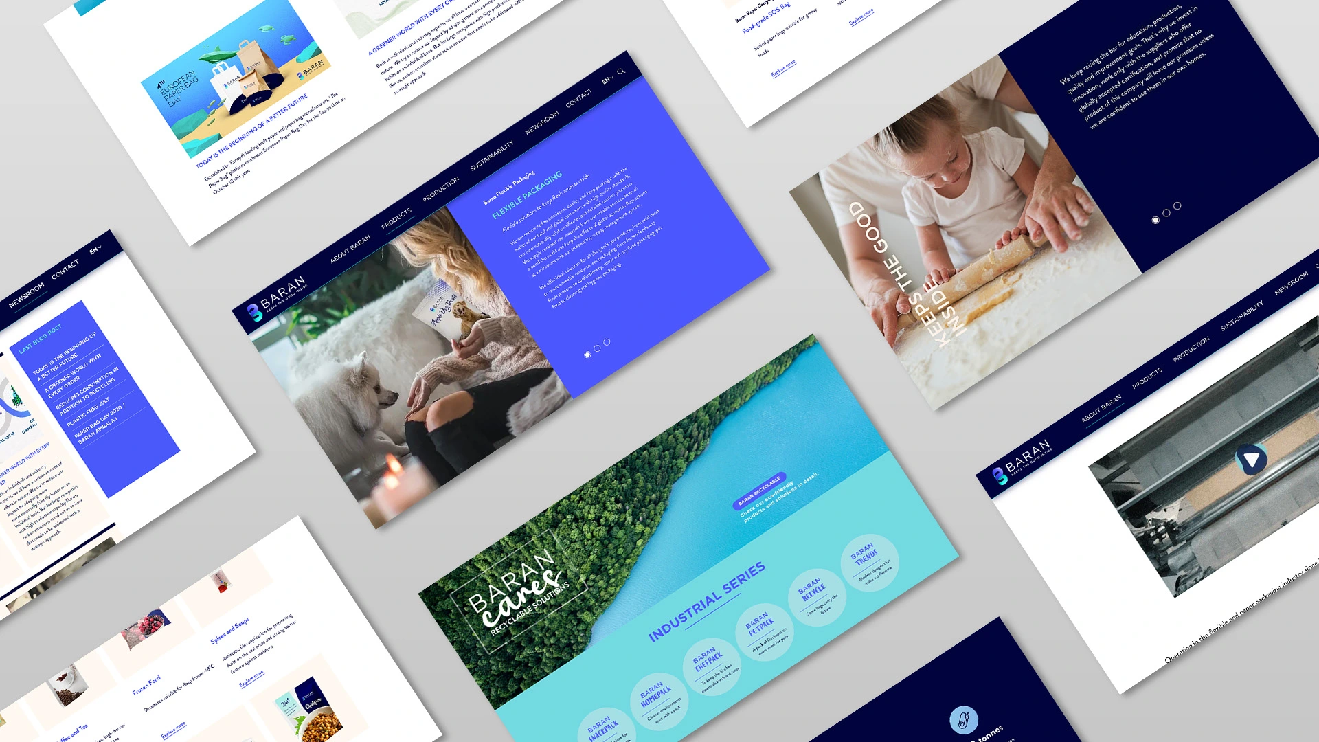 Baran Packaging Website Design – E-Commerce & Sustainable Packaging Branding